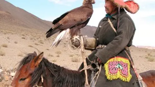 Itinérances sauvages