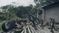 Ivan Carter : héros de la vie sauvage Capturing the Wild