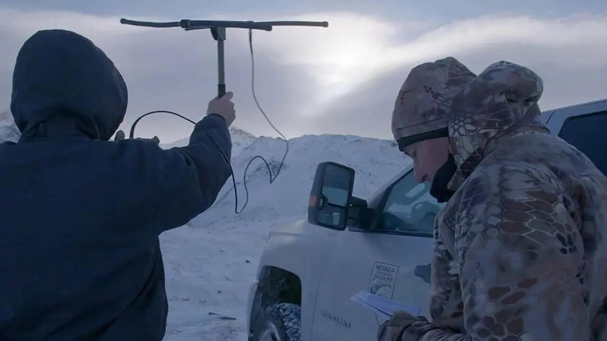 Ivan Carter : héros de la vie sauvage BearIn Focus