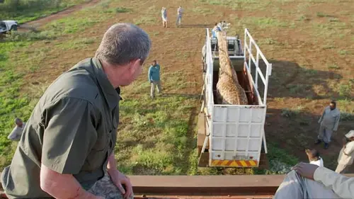 Ivan Carter : héros de la vie sauvage