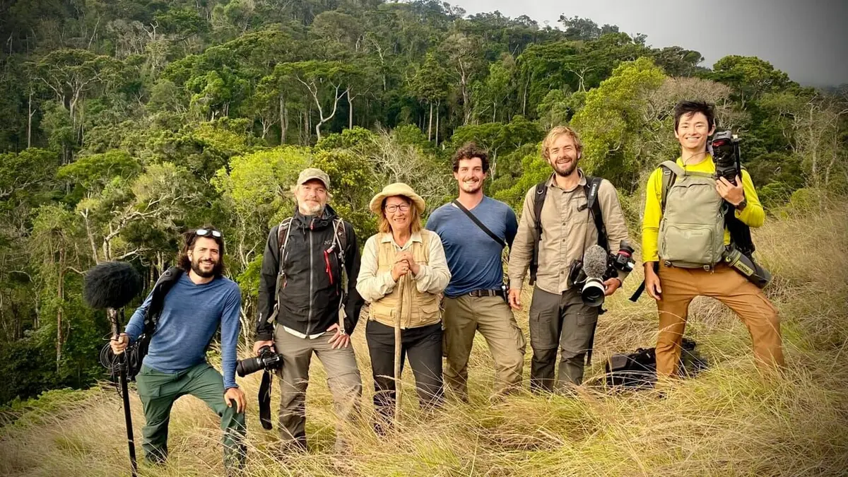 Ivohiboro, la forêt oubliée replay