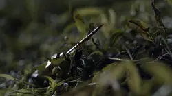 J'ai échappé à un serial killer S01E01 Le démon du désert