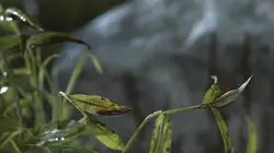 J'ai échappé à un serial killer S01E06 Les frères Cook