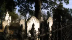 J'ai filmé des fantômes