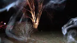 J'ai filmé des fantômes