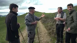 J'apporte le dessert