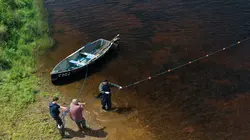 J'apporte le dessert