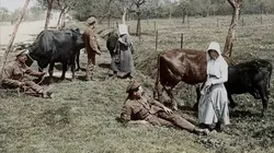 J'y étais : les témoins de la Grande Guerre
