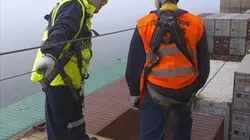 Visuel de Jacotte et les dockers