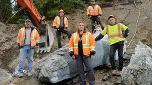 Jade Fever La trouvaille d'une vie