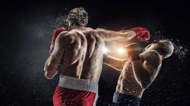 Jamel Herring / Shakur Stevenson Boxe Championnat du monde 2021