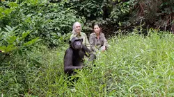 Jane Goodall au secours des chimpanzés du Congo