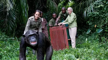 En route pour la vie sauvage