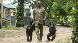 Jane Goodall et les chimpanzés de Tchimpounga