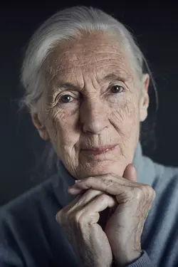 Photo Jane Goodall