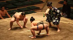 Japon : dans le monde ultra secret des Sumos