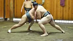 Japon : dans le monde ultra secret des Sumos