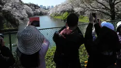 Japon, l'art du jardin zen