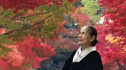 Japon, le voyage de Tsuruko, maîtresse du chaji