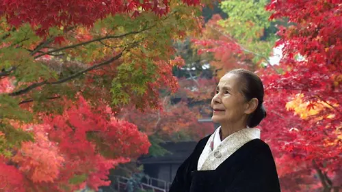 Japon, le voyage de Tsuruko, maîtresse du chaji