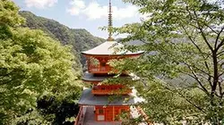 Visuel de Japon : les chemins de pèlerinage