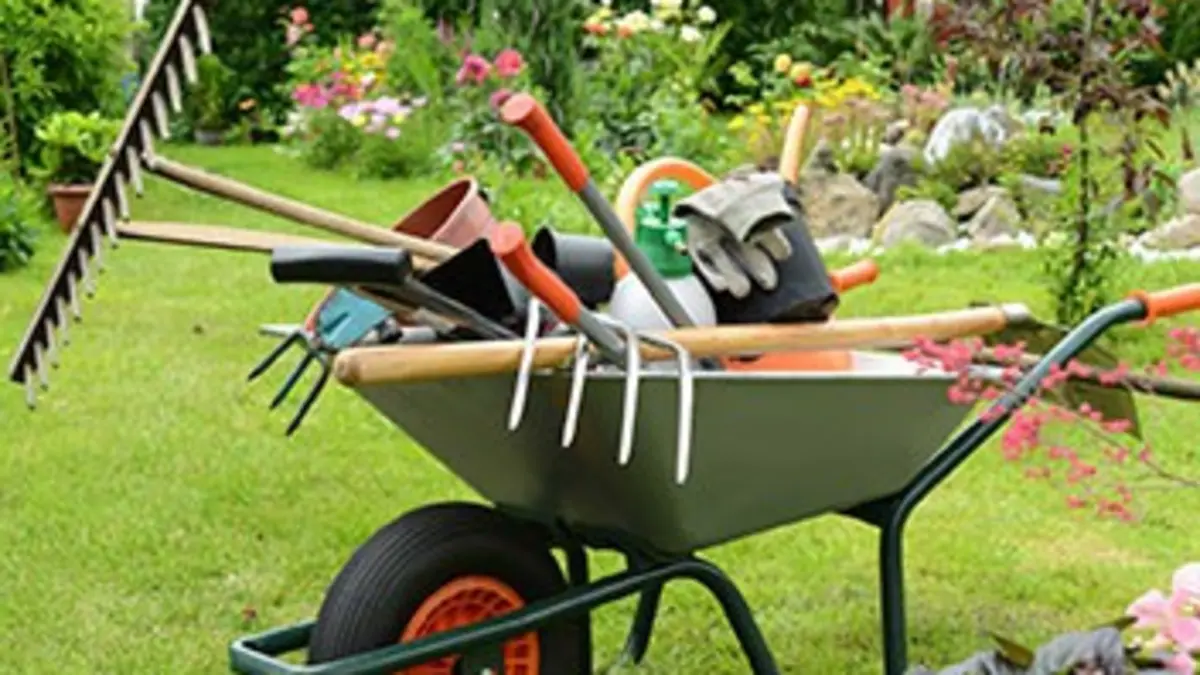 Jardin créole Compil