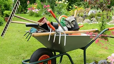 Jardin créole
