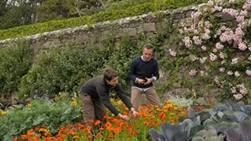 Jardins d'ici et d'ailleurs Inverewe (Ecosse)