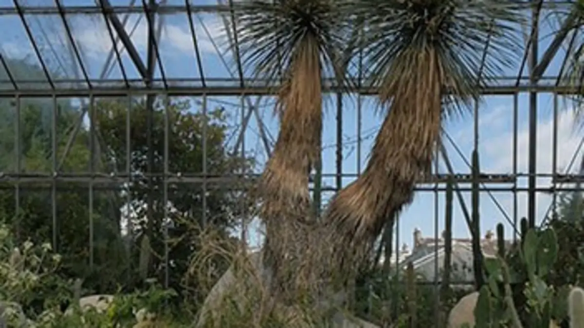 Jardins d'ici et d'ailleurs Jardin botanique royal d'Edimbourg