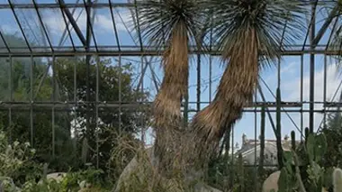 Jardin botanique royal d'Edimbourg