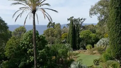 Jardins d'ici et d'ailleurs Rayol