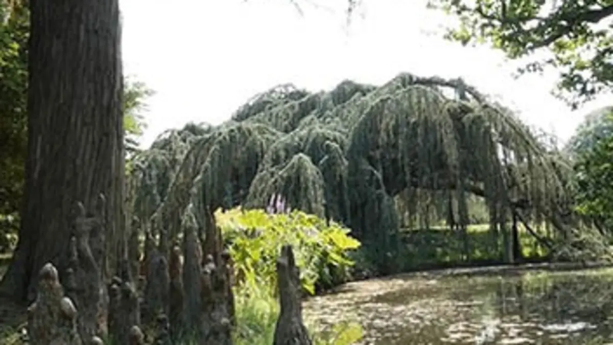 Jardins d'ici et d'ailleurs S01E00 Vallée-aux-Loups (France)
