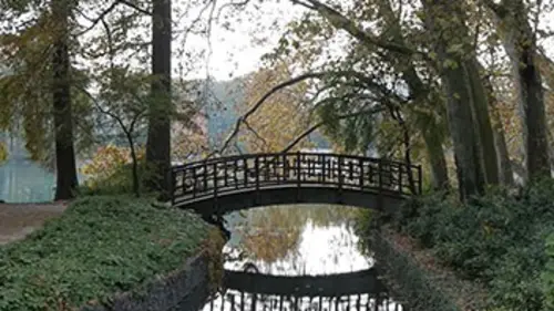 Jardins d'ici et d'ailleurs Tête d'or