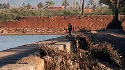 Visuel de Jardins d'ici et d'ailleurs