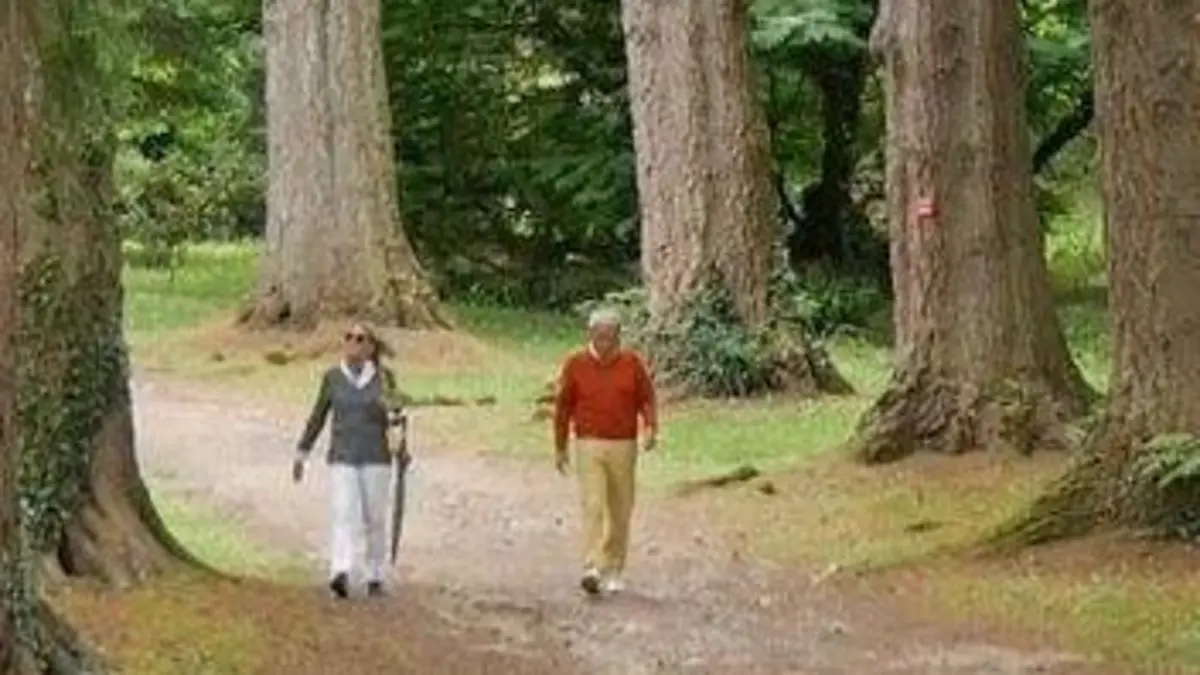 Jardins d'ici et d'ailleurs S02E11 Powerscourt (Irlande)
