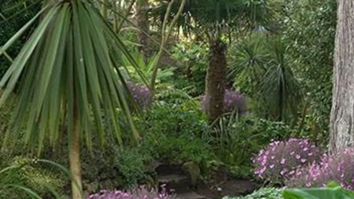 Jardins d'ici et d'ailleurs S03E14 Jardin Georges Delaselle