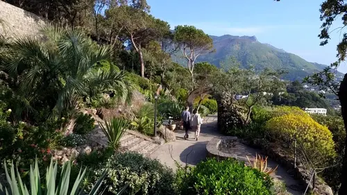 Jardins d'ici et d'ailleurs S03E15 La Mortella