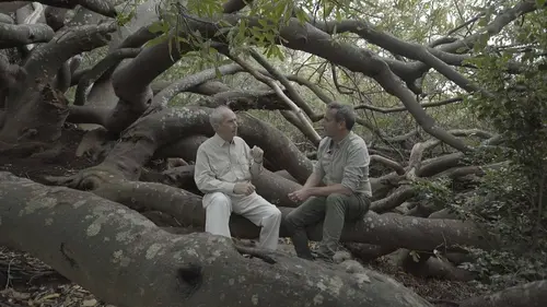 Jardins d'ici et d'ailleurs S03E20 Kirstenbosch