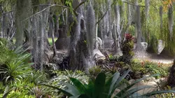 Jardins d'ici et d'ailleurs S04E02 Lotusland