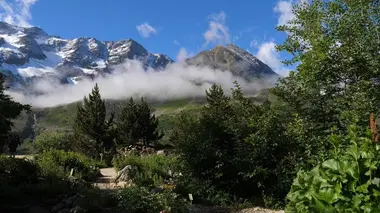 Jardin alpin du Lautaret
