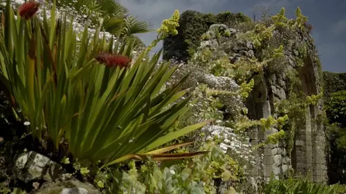 Jardins d'ici et d'ailleurs S03E05 Tresco Abbey