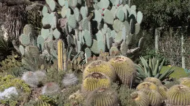 Jardins Ruth Bancroft