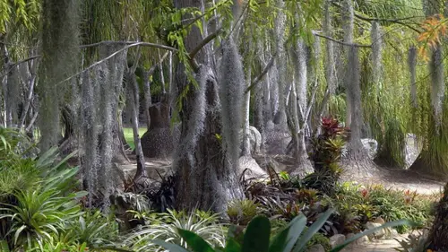 Jardins d'ici et d'ailleurs S04E02 Lotusland