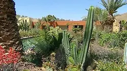 Visuel de Jardins du désert