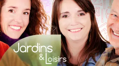 Les cyclamens en pot et au jardin