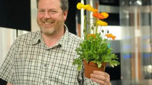 Jardins et loisirs : été Dans le Pas-de-Calais