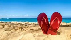 Jardins et loisirs : été