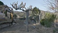 Jardins XXL Relooking Total