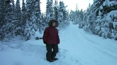 Seule face aux loups