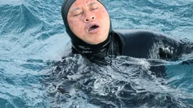 Face à face avec les requins